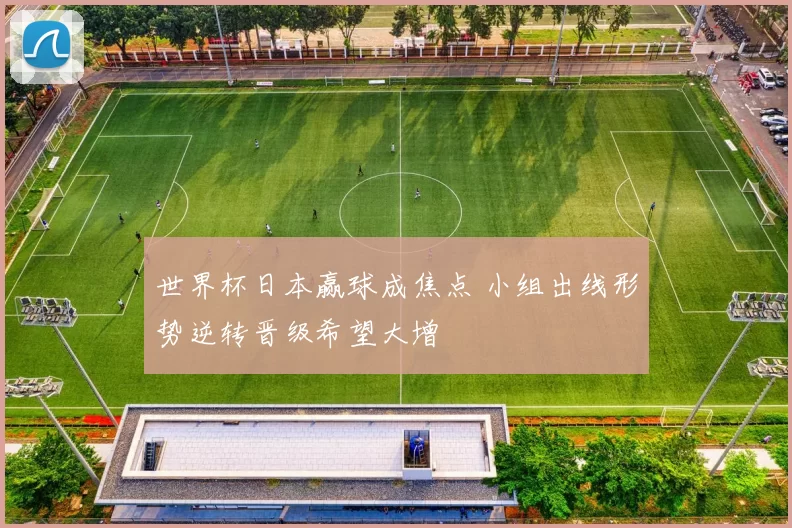 世界杯日本赢球成焦点 小组出线形势逆转晋级希望大增
