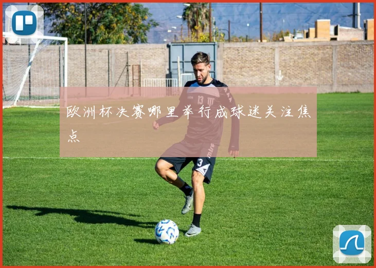 欧洲杯决赛哪里举行成球迷关注焦点
