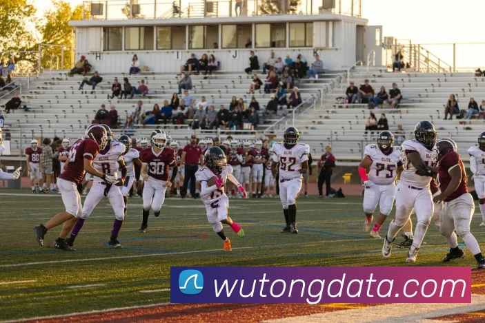 EMC易倍·(中国)体育官方网站 - EMC SPORTS服务体系